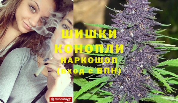 прущие крисы Тутаев