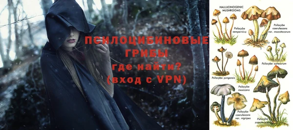 тгк Туринск