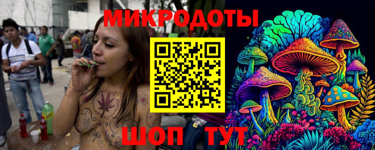 Галлюциногенные грибы Cubensis  Моздок 